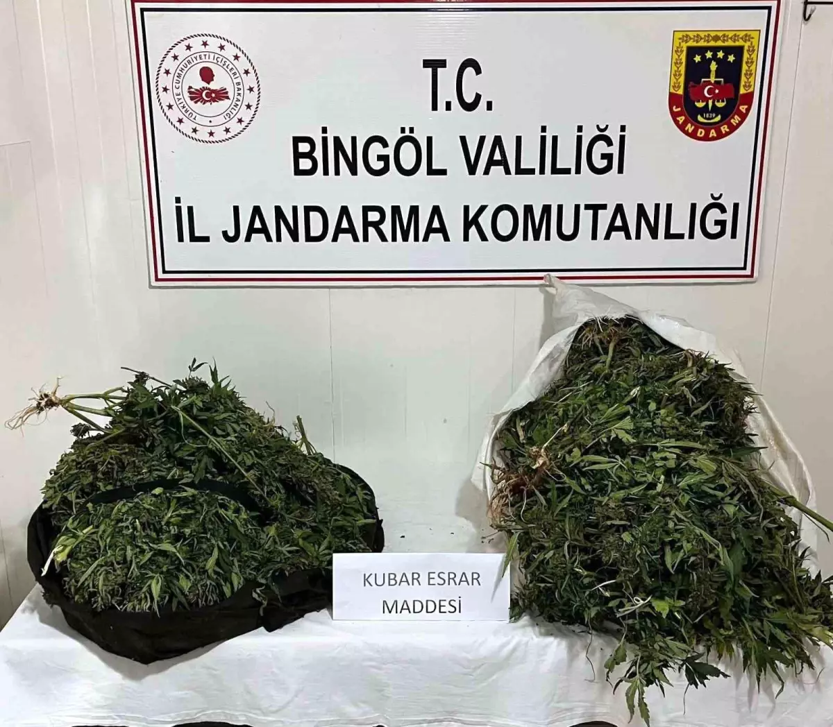 bingolde-uyusturucu-operasyonu-17-kilo-esrar-ele-gecirildi-Av8nXkTM.jpg